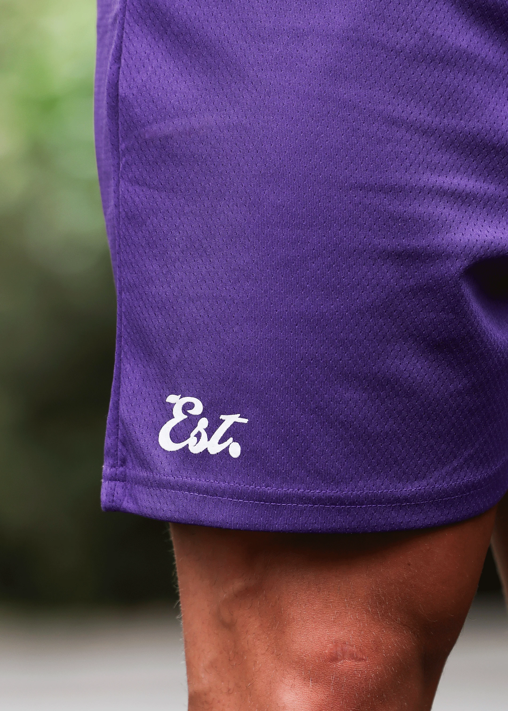 Establish Shorts Purple - Image 5