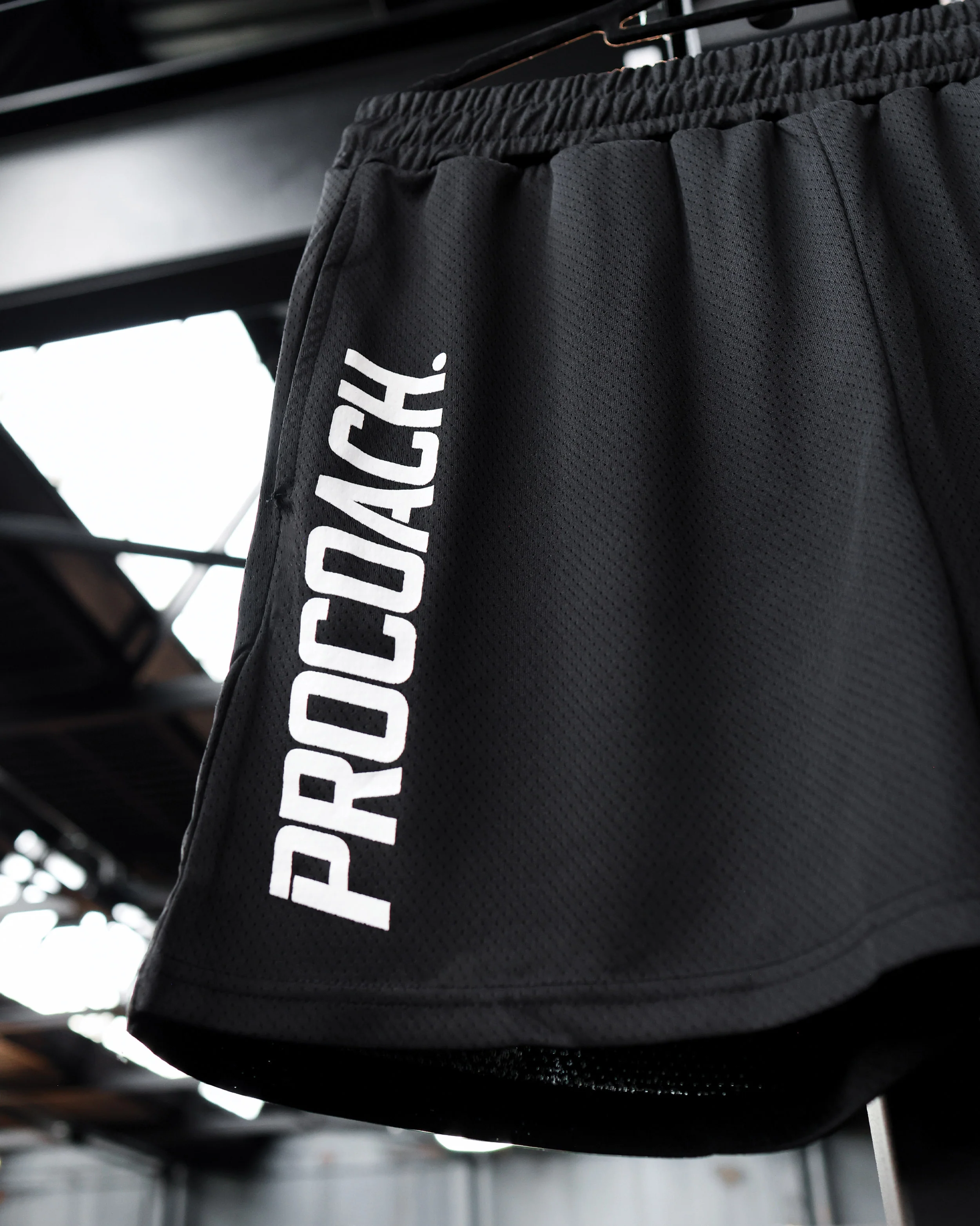 Procoach Shorts Black - Image 4