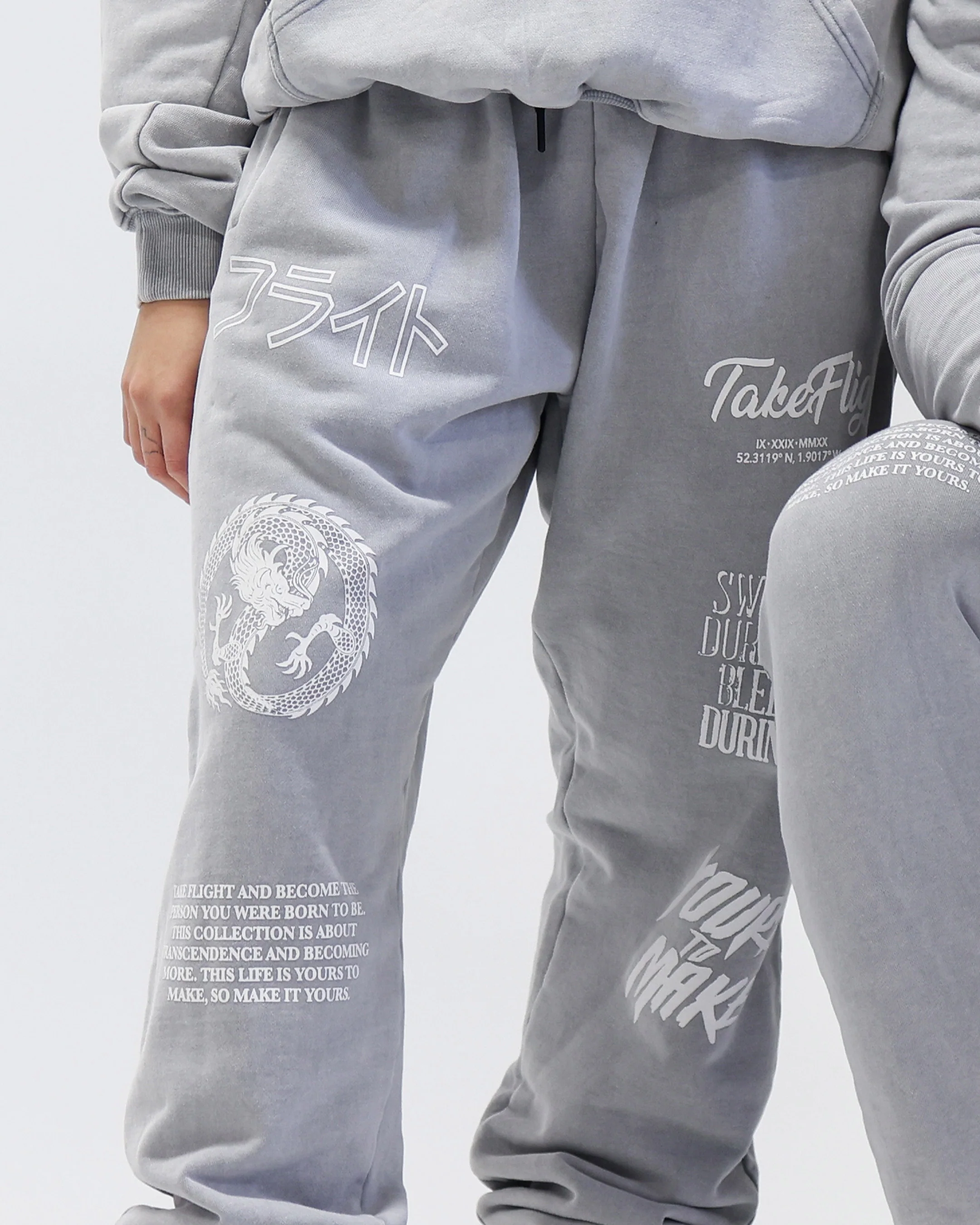 TAKE FLIGHT TRANSCENDENCE GREY JOGGER - Image 3